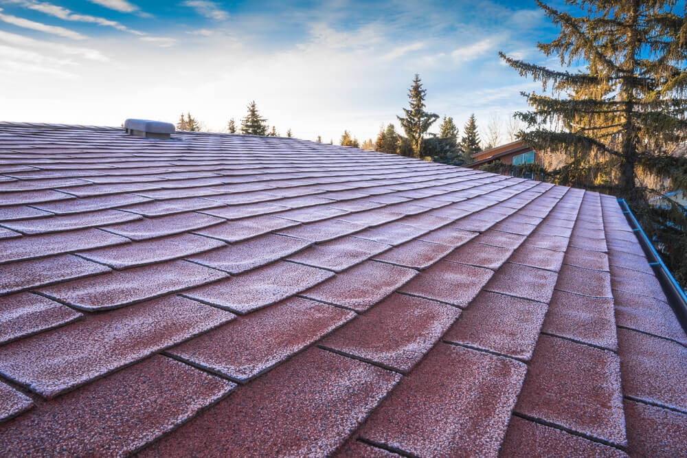 The 8 Most Common Causes of Roof Damage
